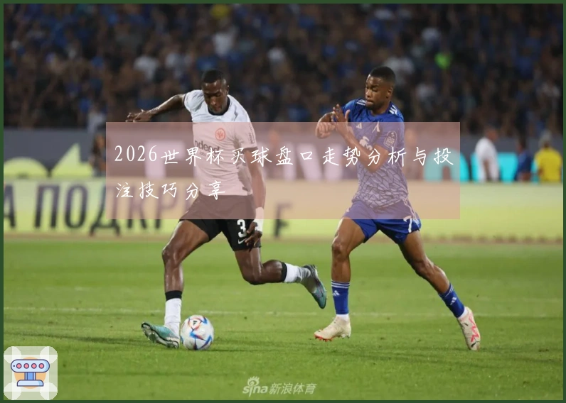 2026世界杯买球盘口走势分析与投注技巧分享