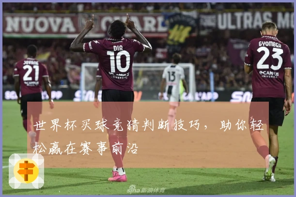 世界杯买球竞猜判断技巧，助你轻松赢在赛事前沿