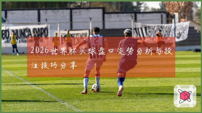 2026世界杯买球盘口走势分析与投注技巧分享